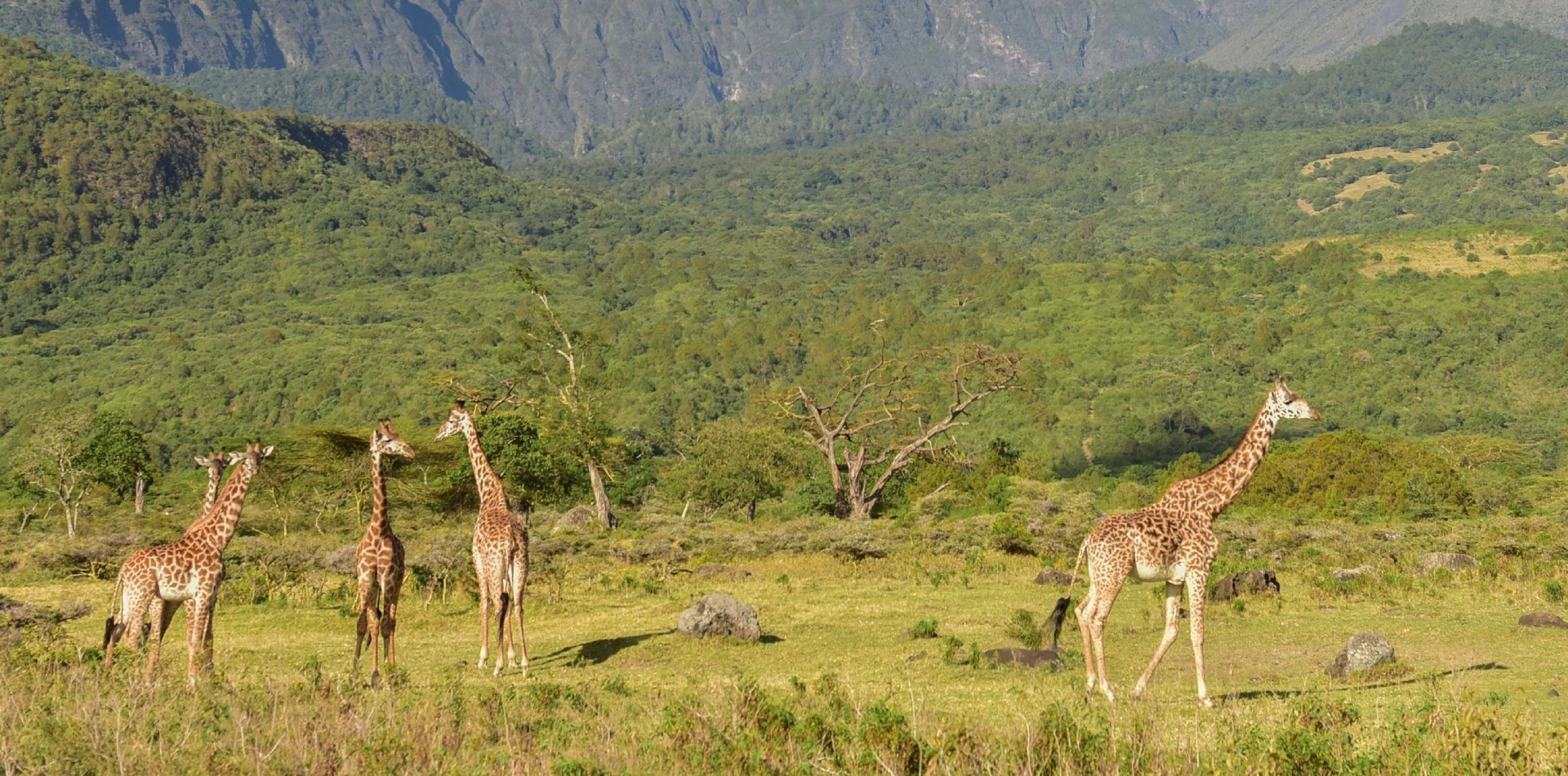 Arusha National Park