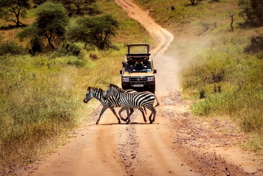 9-days-great-migration-camping-safari-10