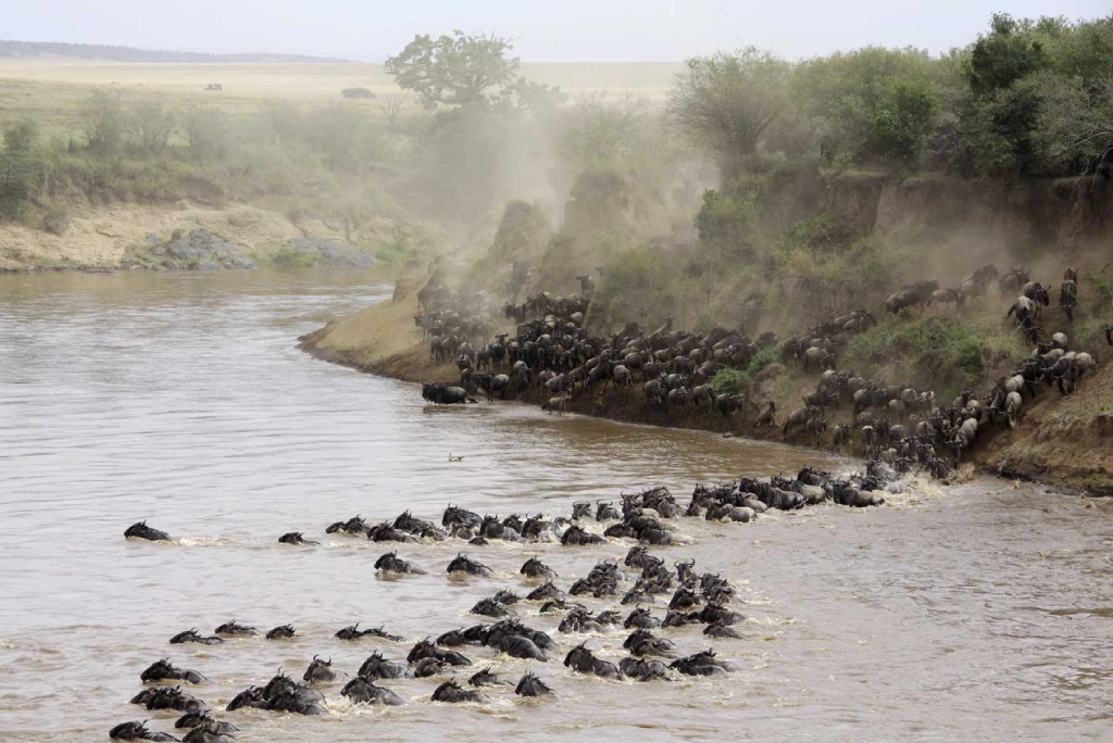 9-days-great-migration-camping-safari-13