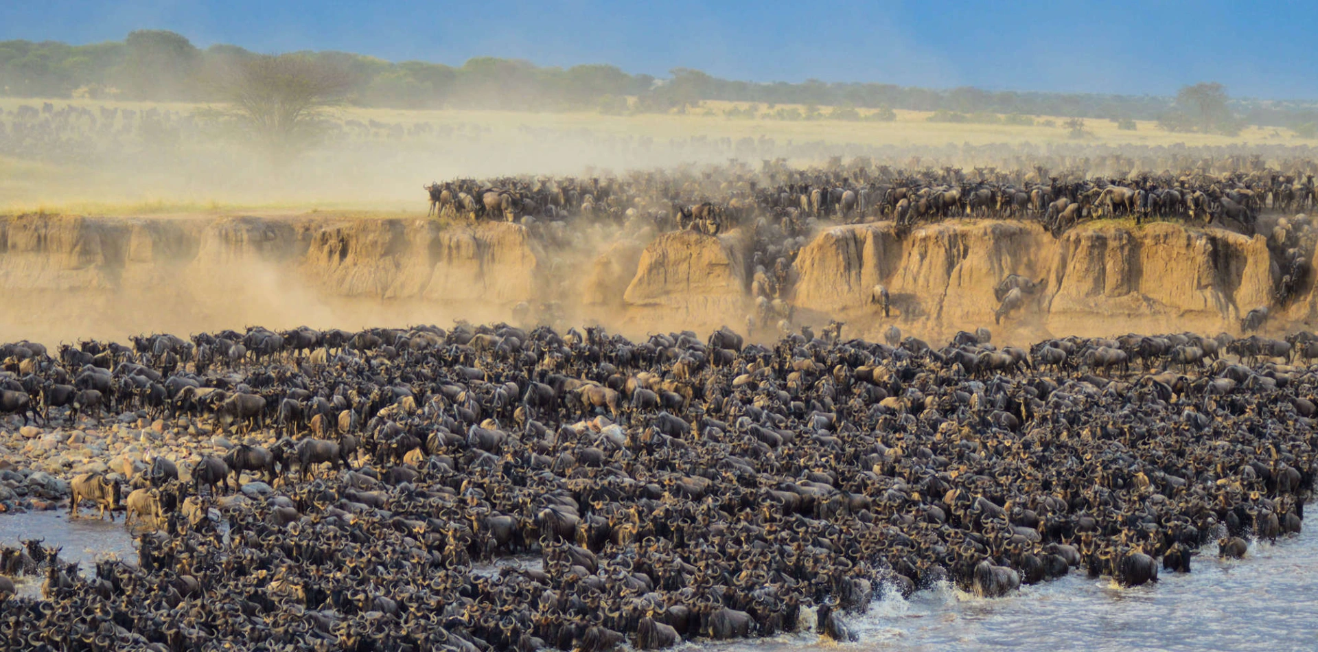 9 Days Great Migration Camping Safari