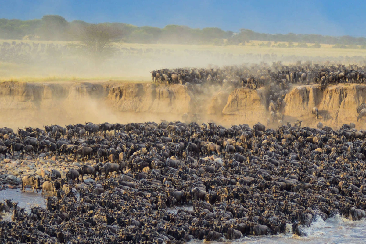 9 day camping safari