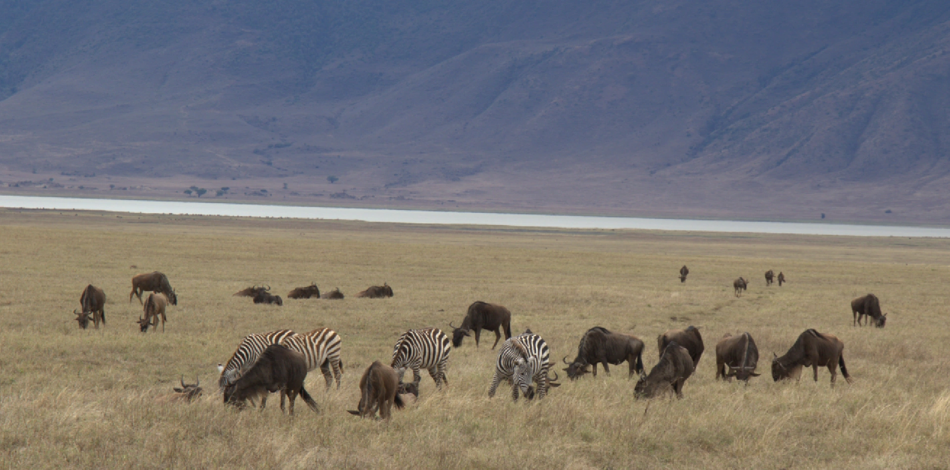 ngorongoro-crater-24