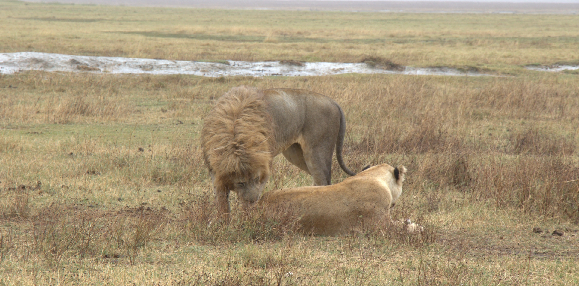 ngorongoro-crater-30