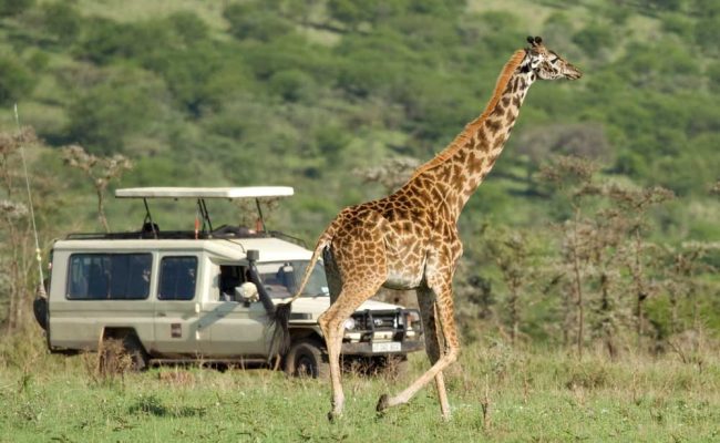 arusha-national-park